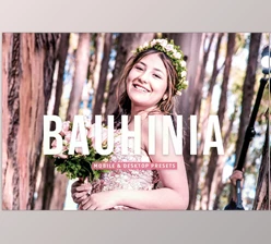 Download Bauhinia Pro Lightroom Presets CreativeMarket - 7003225