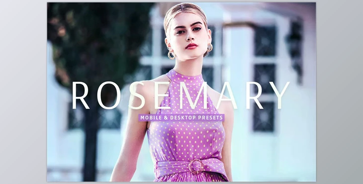 Download Rosemary Pro Lightroom Presets CreativeMarket - 7003272