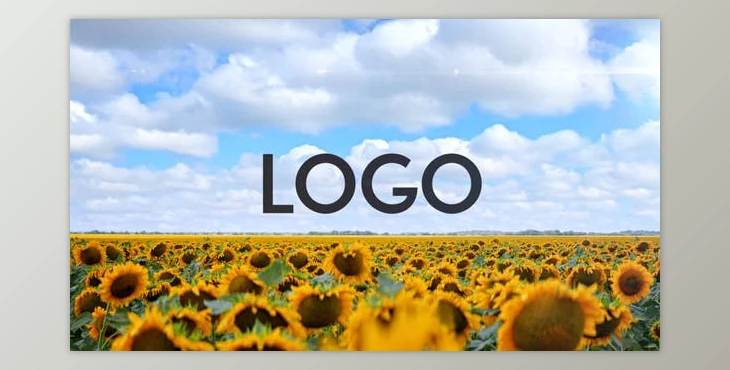 Download Sunflower Opener DR (Videohive 33365525)