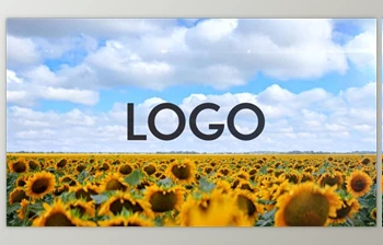 Download Sunflower Opener DR (<span class='badge badge-warning'>Videohive</span> 33365525)