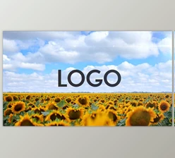Download Sunflower Opener DR (Videohive 33365525)