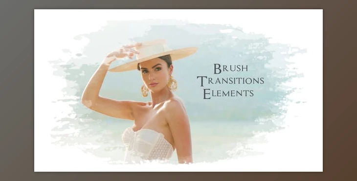 Download Brush Transitions Elements\AE (Videohive 36381612) - AE Project