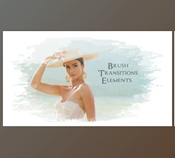 Download Brush Transitions Elements\AE (Videohive 36381612) - AE Project