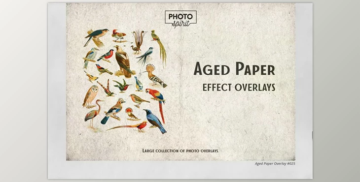 Download Aged Paper Effect Overlays CreativeMarket - 6916248