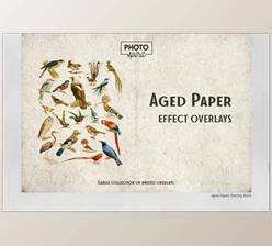 Download Aged Paper Effect Overlays CreativeMarket - 6916248