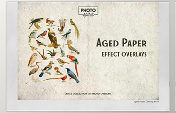 Download Aged Paper <span class='badge badge-warning'>Effect</span> Overlays <span class='badge badge-warning'>CreativeMarket</span> - 6916248