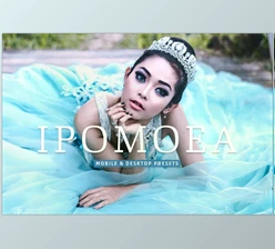 Download Ipomoea Pro Lightroom Presets CreativeMarket - 7039555