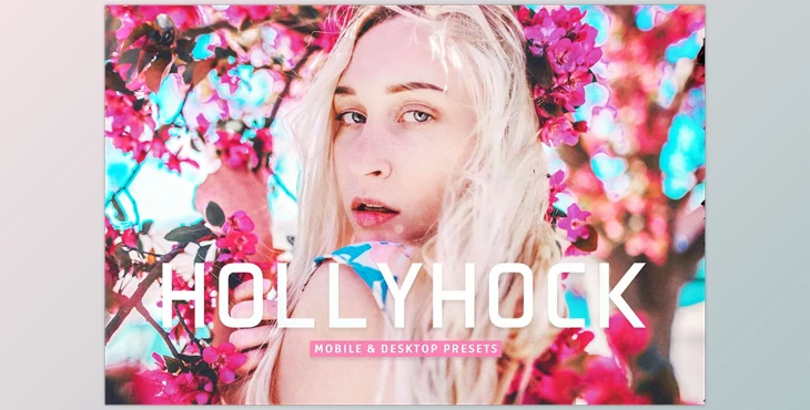 Download Hollyhock Pro Lightroom Presets CreativeMarket - 7039553