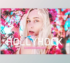 Download Hollyhock Pro Lightroom Presets CreativeMarket - 7039553