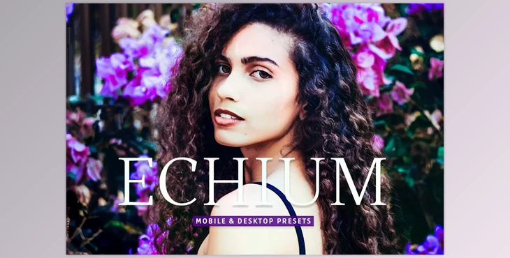 Download Echium Pro Lightroom Presets CreativeMarket - 7039499