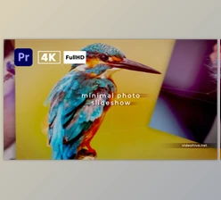 Download Minimal Photo Slideshow 2 | Premiere Pro (Videohive 36456731)