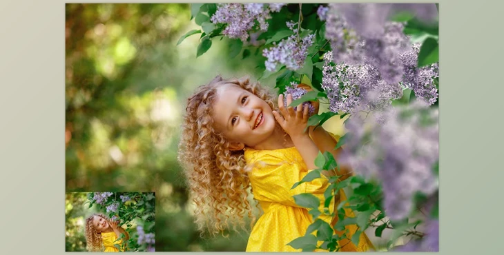 Download 30 Lilac Photo Overlays
