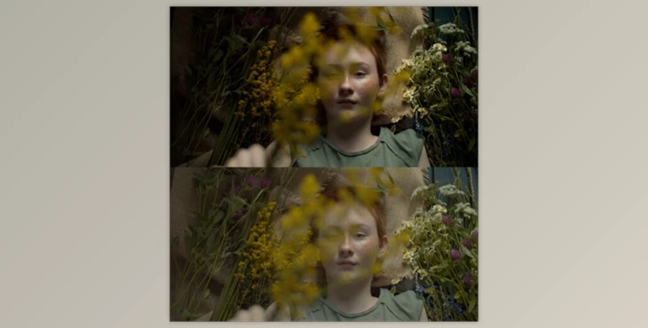 Download Lightroom Presets Premium Film Emulation