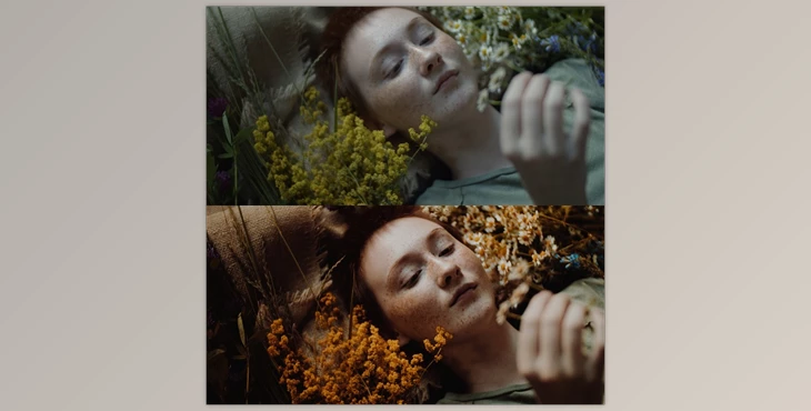 Download CINEMATIC Autumn Film LUTS PACK for Videos(rec709)