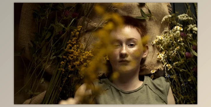 Download Cinematic Film LUTs for BMPCC 4k and 6k Videos