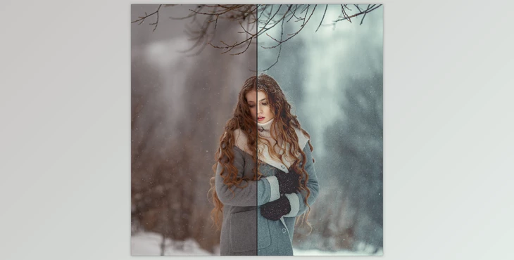 Download Anna Melnikova Photographer – Winter Preset