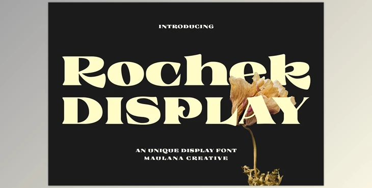 Download Rochek Vintage Serif Display Font CreativeMarket 6955264