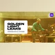 Download Golden Light Leaks for After Effects (Videohive 36596017) - AE Project