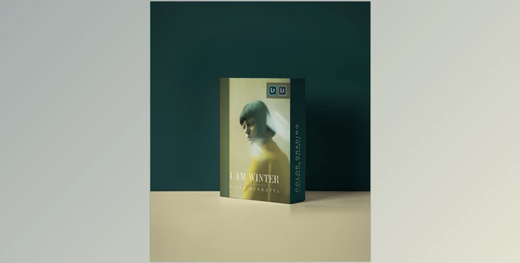 Download IAMWINTER COLOR GRADING PRESETS