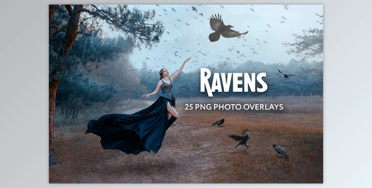 Download 25 Ravens Photo Overlays