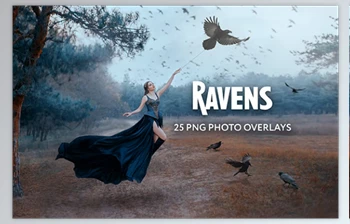 Download 25 Ravens Photo <span class='badge badge-warning'>Overlays</span>