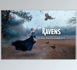 Download 25 Ravens Photo Overlays