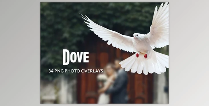 Download 34 Dove Photo Overlays Transparent PNG