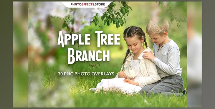Download 30 Apple Tree Branch Photo Overlays