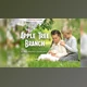 Download 30 Apple Tree Branch Photo Overlays