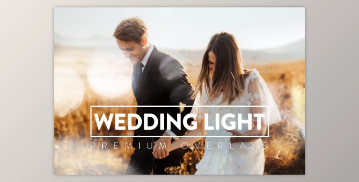 Download 120 Wedding Light Overlays