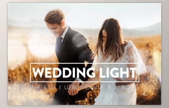 Download 120 Wedding <span class='badge badge-warning'>Light</span> <span class='badge badge-warning'>Overlays</span>