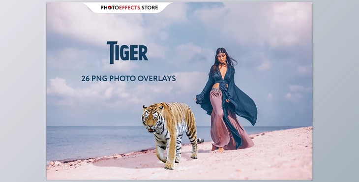 Download 26 Tiger Photo Overlays
