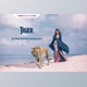 Download 26 Tiger Photo Overlays