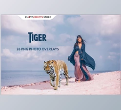 Download 26 Tiger Photo Overlays