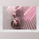 Download Dusted Rose Overlays CreativeMarket - 7055409