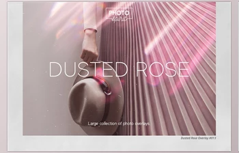 Download Dusted Rose <span class='badge badge-warning'>Overlays</span> CreativeMarket - 7055409