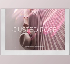 Download Dusted Rose Overlays CreativeMarket - 7055409