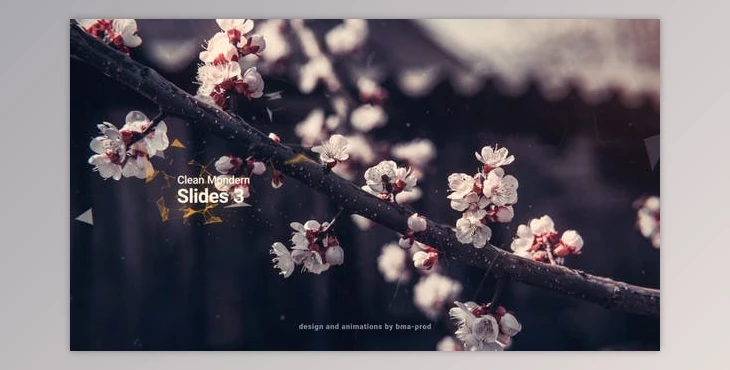 Download Clean Modern Slides 3 (Videohive 36643346) - AE Project