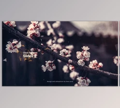 Download Clean Modern Slides 3 (Videohive 36643346) - AE Project