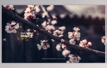 Download <span class='badge badge-warning'>Clean</span> Modern Slides 3 (Videohive 36643346) - AE Project
