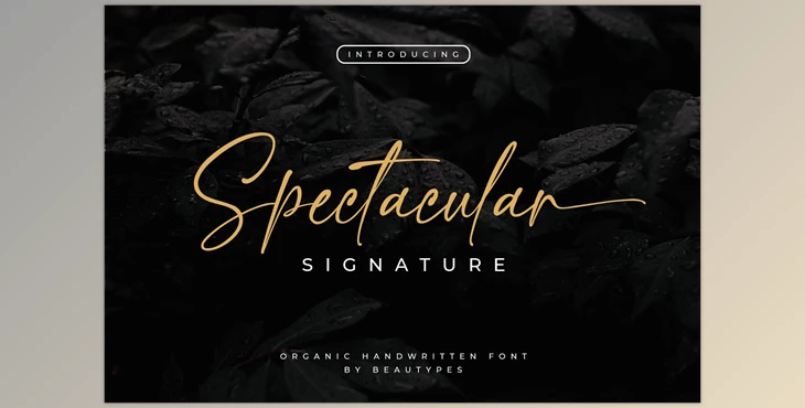 Download Spectacular Signature Font CreativeMarket 6720236