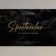 Download Spectacular Signature Font CreativeMarket 6720236
