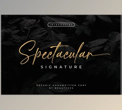Download Spectacular Signature Font CreativeMarket 6720236