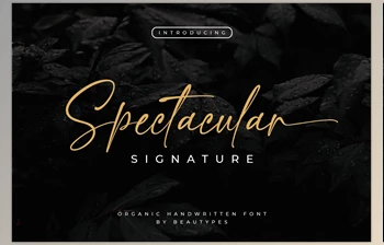Download Spectacular <span class='badge badge-warning'>Signature</span> <span class='badge badge-warning'>Font</span> CreativeMarket 6720236