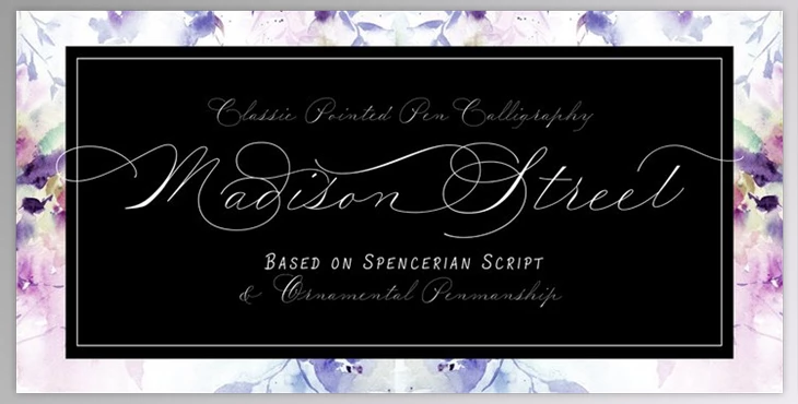 Download Madison Street Font Family – 8 Fonts - MyFonts