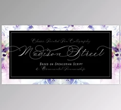Download Madison Street Font Family – 8 Fonts - MyFonts