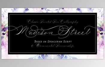 Download Madison Street Font Family – <span class='badge badge-warning'>8</span> Fonts - MyFonts