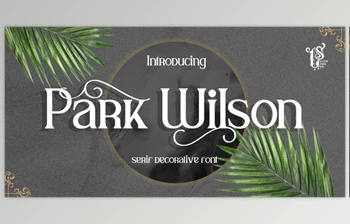 Download Parkwilson <span class='badge badge-warning'>Font</span> by Myfonts