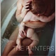 Download BabyRose Presets – The Painters Presets