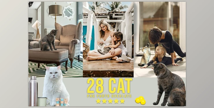 Download 28 Cat Photoshop Overlays CreativeMarket - 6737913